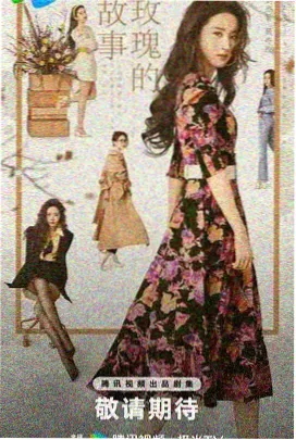 热门益智少儿动画合集